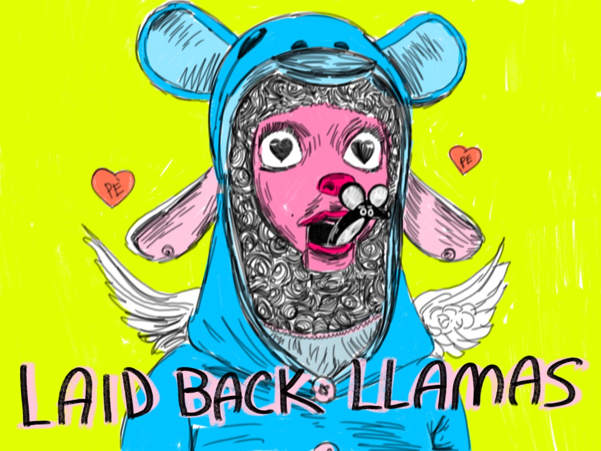 Laid back llamas